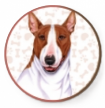 BULL TERRIER CIOTOLA